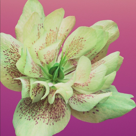 Meet your Posher, Sand - Picture 1 of 1